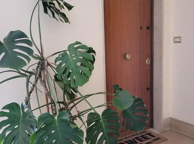 Boutique Maison - Pentimalli 84